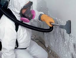 Best Real Estate Mold Inspection  in Independence, LA